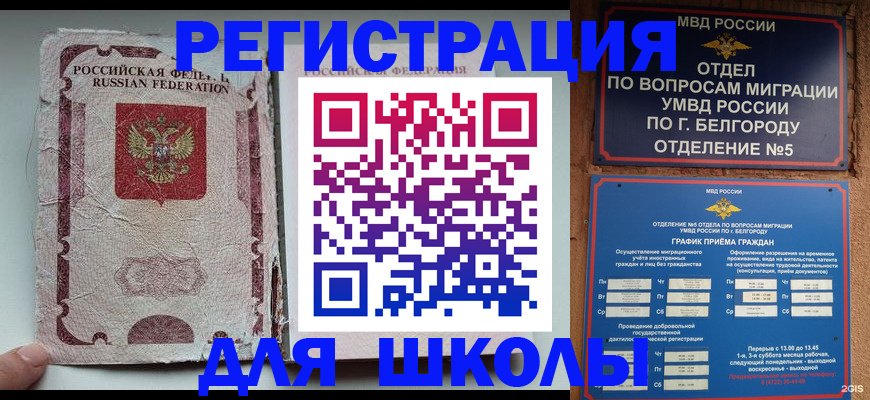 прописка гарантия в Мурманской области